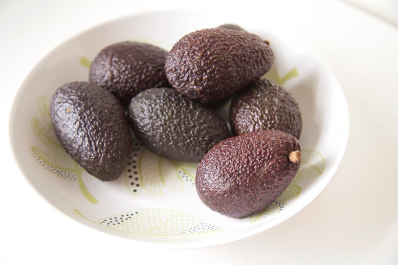 Avocado 1