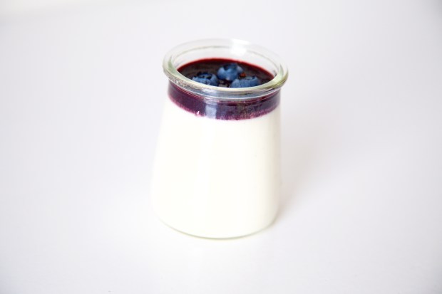 IMG_3531Griekse yoghurt panna cotta met blauwe bessen