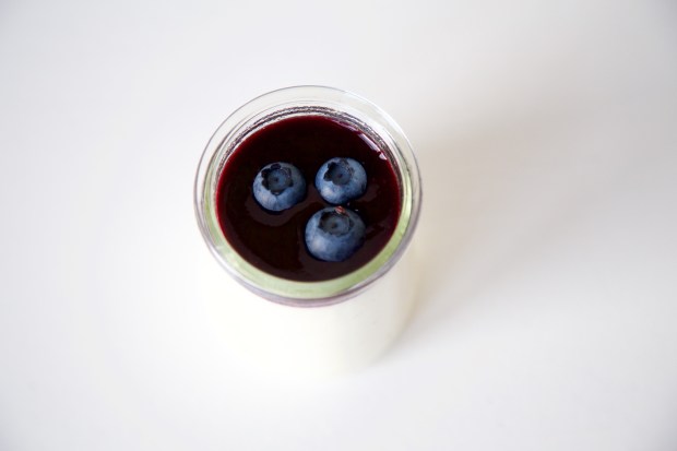 Griekse yoghurt panna cotta met blauwe bessen