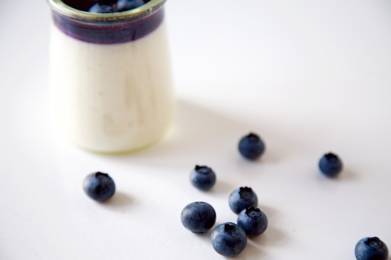 Griekse yoghurt panna cotta met blauwe bessen