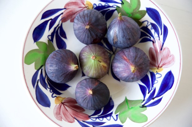 Verse vijgen op ouderwets boerenbont