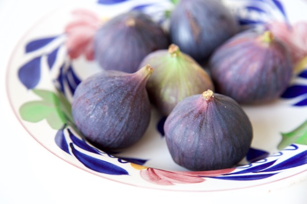 Verse vijgen op ouderwets boerenbont