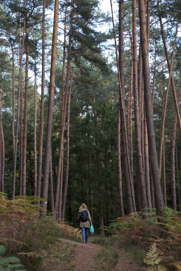 herfstwandeling en paddestoelen zoeken (Frankrijk)