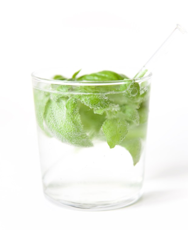 gin vlierbes basilicum cocktail